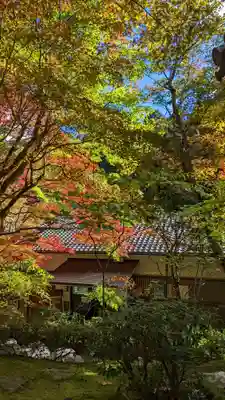寂光院(京都府)