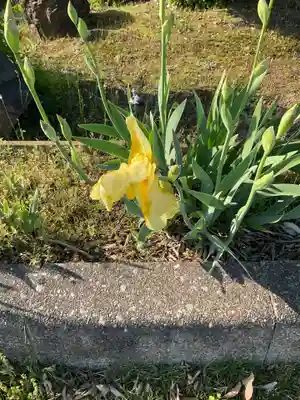 正眼寺(愛知県)
