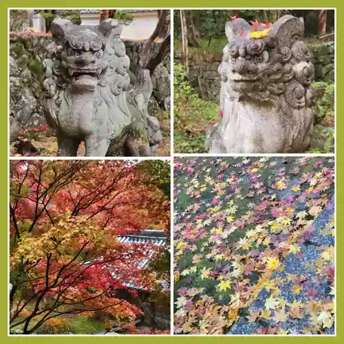 勝持寺（花の寺）(京都府)