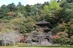 金剛院の塔