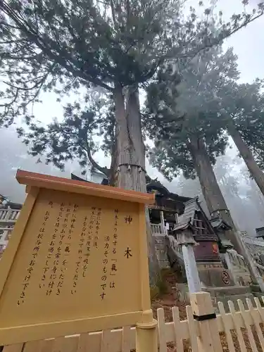 三峯神社(埼玉県)