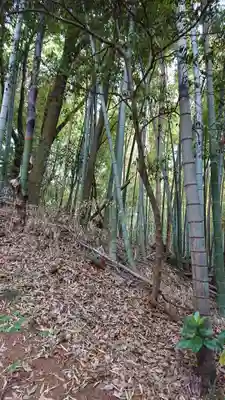 諏訪神社の周辺
