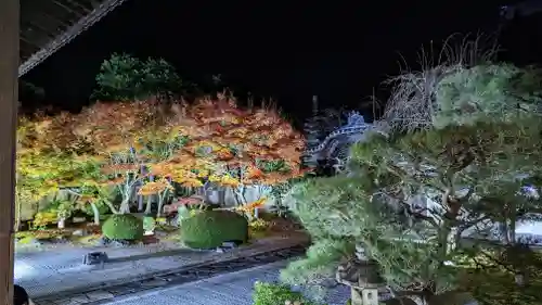 妙顯寺（妙顕寺）(京都府)