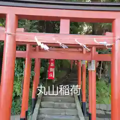 鶴岡八幡宮(神奈川県)