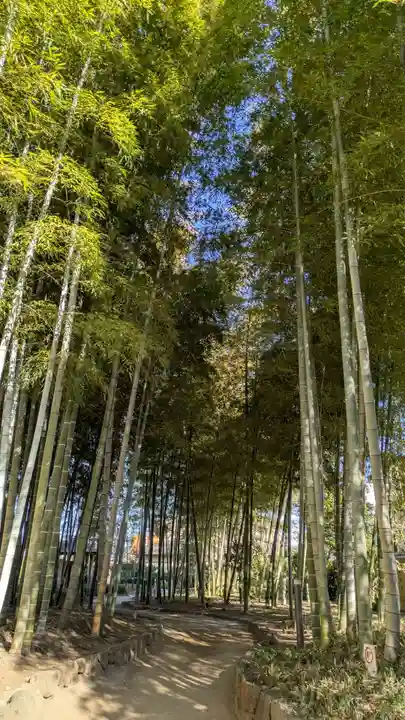 武蔵一宮氷川神社(埼玉県)