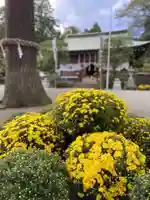 比々多神社の自然