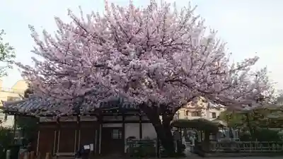 感通寺(東京都)