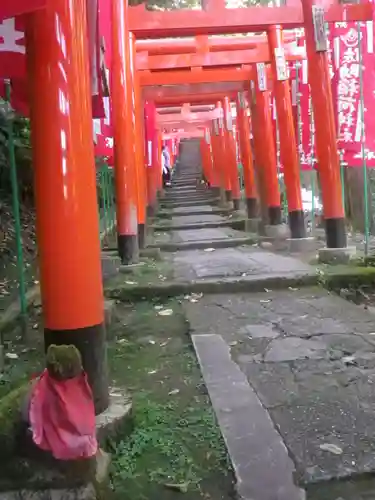 佐助稲荷神社の鳥居