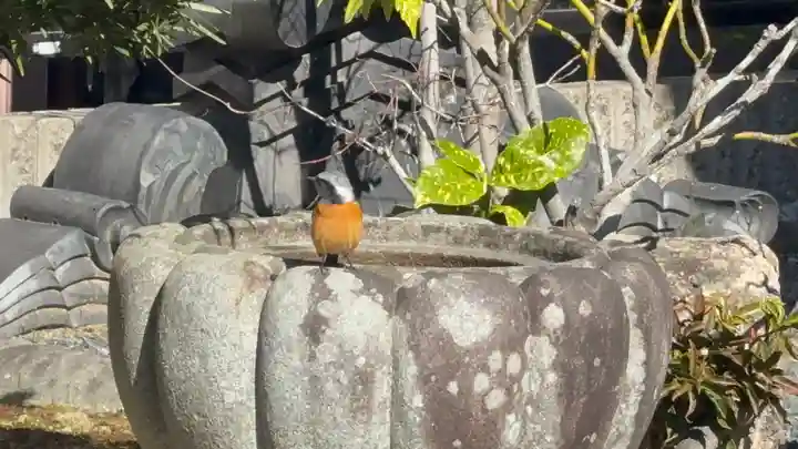 西方山極楽寺(岐阜県)