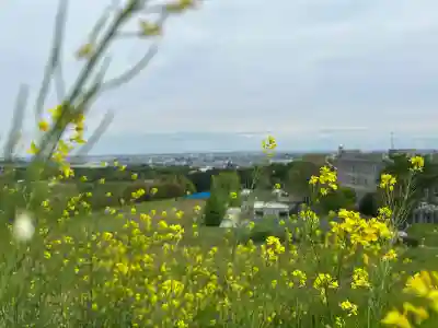 比々多神社元宮の{uncategorized: "未分類", other: "その他", undefined: "問題あり", building: "その他建物", grave: "お墓", sacred_gate: "鳥居", guardian: "狛犬", statue: "像", buddha: "仏像", history: "歴史", nature: "自然", garden: "庭園", animal: "動物", pagoda: "塔", temizu: "手水舎", mountain_gate: "山門・神門", sanctuary: "本殿・本堂", subordinate: "末社・摂社", art: "芸術", scenery: "景色", jizo: "地蔵", ema: "絵馬", goshuin: "御朱印", omikuji: "おみくじ", items: "授与品その他", amulet: "お守り", goshuincho: "御朱印帳", eats: "食事", festival: "お祭り", votive_dance: "神楽", shichigosan: "七五三参", wedding: "結婚式", experience: "体験その他", initially: "初詣", around: "周辺", anti_infection: "感染症対策"}
