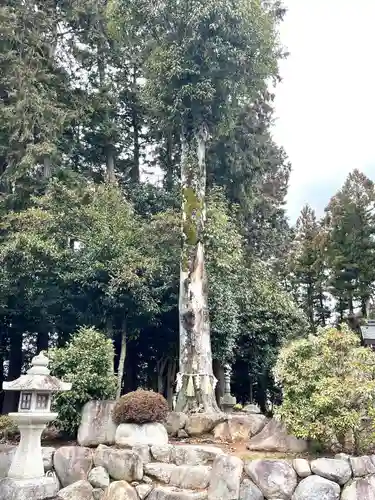 日吉神社(滋賀県)
