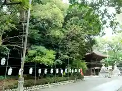 府八幡宮の自然