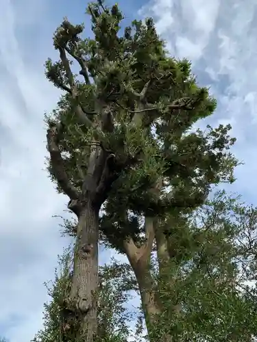 野里神社のその他建物