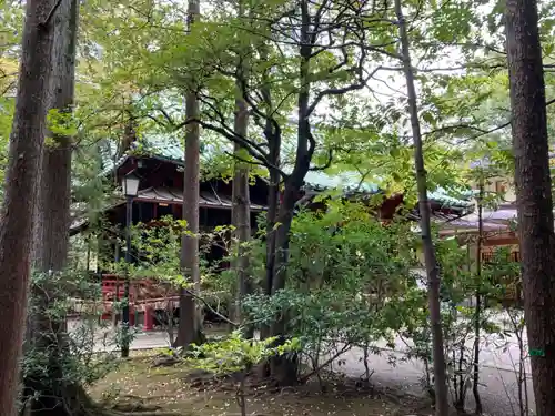 赤坂氷川神社のその他建物