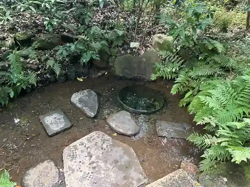 明治神宮(東京都)