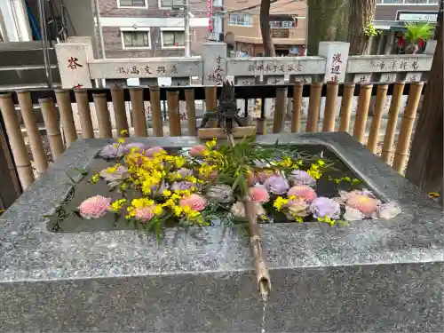 高円寺氷川神社(東京都)
