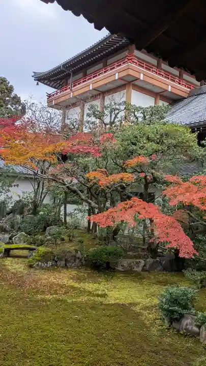 本法寺(京都府)