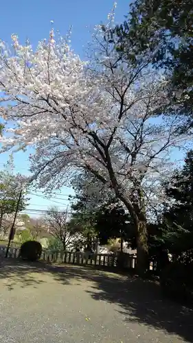 上川原日枝神社の自然