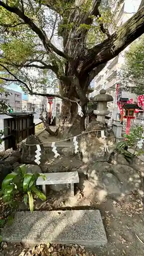 若一神社(京都府)