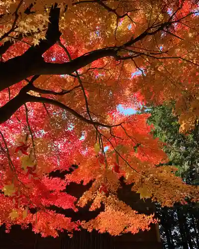 滑川神社 - 仕事と子どもの守り神の自然