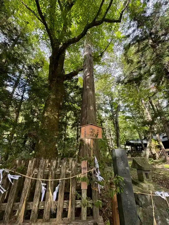 小野神社(長野県)