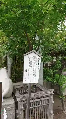 正ノ木稲荷 稲積神社の自然