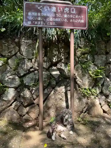 唐澤山神社(栃木県)