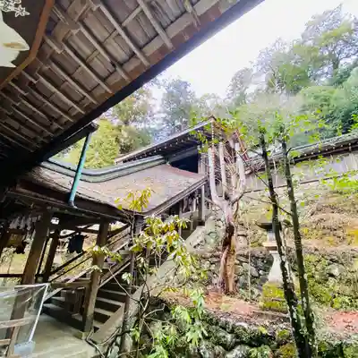 丹生川上神社（中社）(奈良県)