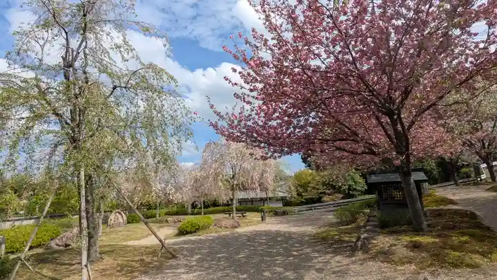 圓光寺(京都府)