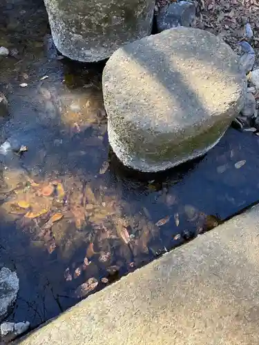 八耳堂(埼玉県)