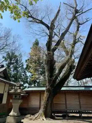蠶養國神社(福島県)