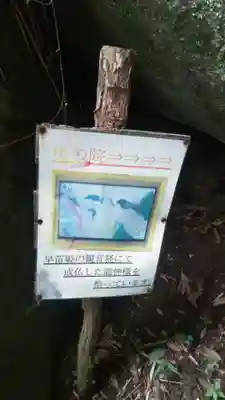 天台宗玄清法流　胸の観音寺のその他建物