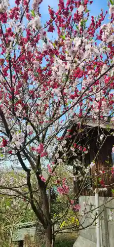 萬松寺(山形県)