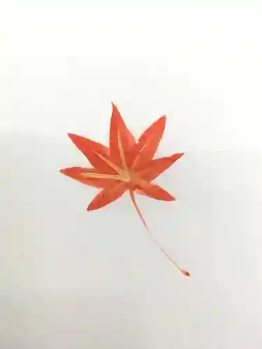 聖天宮 西江寺の授与品その他