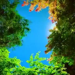 滑川神社 - 仕事と子どもの守り神の自然