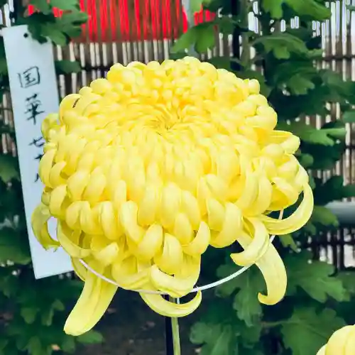 喜多院(埼玉県)