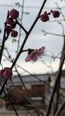平野天満宮(滋賀県)