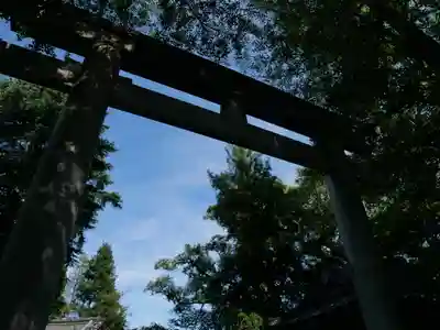 葛西神社の鳥居