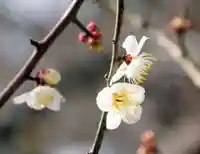 三津厳島神社(愛媛県)