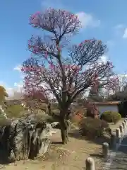 安楽寺(栃木県)