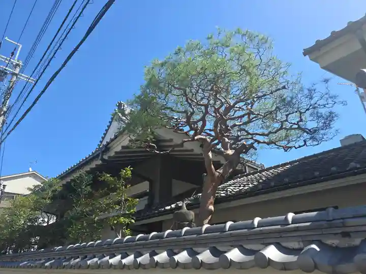 法輪寺 (日蓮宗法音寺京都支院)(京都府)