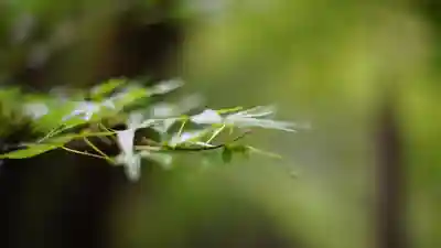 室生寺(奈良県)