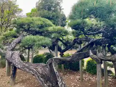 大正寺の{uncategorized: "未分類", other: "その他", undefined: "問題あり", building: "その他建物", grave: "お墓", sacred_gate: "鳥居", guardian: "狛犬", statue: "像", buddha: "仏像", history: "歴史", nature: "自然", garden: "庭園", animal: "動物", pagoda: "塔", temizu: "手水舎", mountain_gate: "山門・神門", sanctuary: "本殿・本堂", subordinate: "末社・摂社", art: "芸術", scenery: "景色", jizo: "地蔵", ema: "絵馬", goshuin: "御朱印", omikuji: "おみくじ", items: "授与品その他", amulet: "お守り", goshuincho: "御朱印帳", eats: "食事", festival: "お祭り", votive_dance: "神楽", shichigosan: "七五三参", wedding: "結婚式", experience: "体験その他", initially: "初詣", around: "周辺", anti_infection: "感染症対策"}
