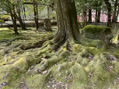 醍醐寺(京都府)