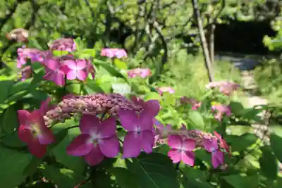 瑞泉寺(神奈川県)