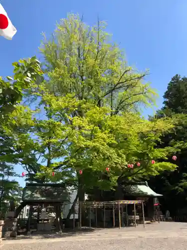 温泉神社〜いわき湯本温泉〜の庭園