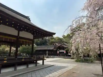平野神社(京都府)