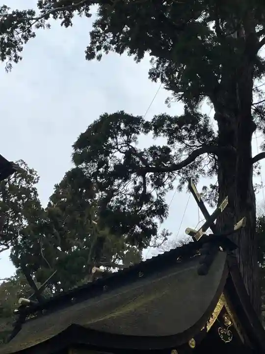 鹿島神宮(茨城県)