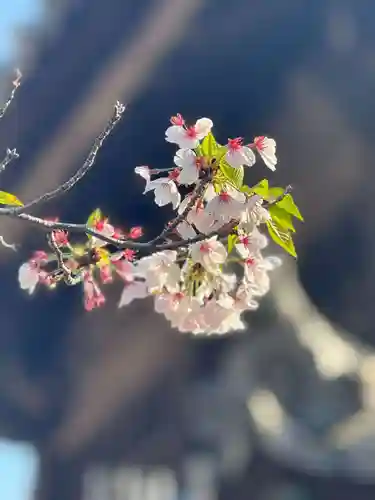 伊勢の国 四天王寺(三重県)
