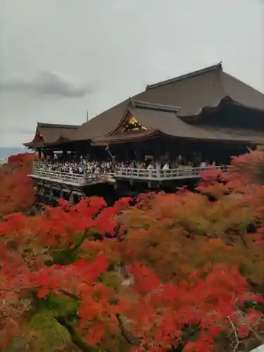 清水寺(京都府)